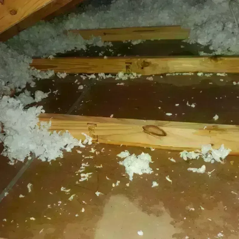 Attic Water Damage in Carmi, IL