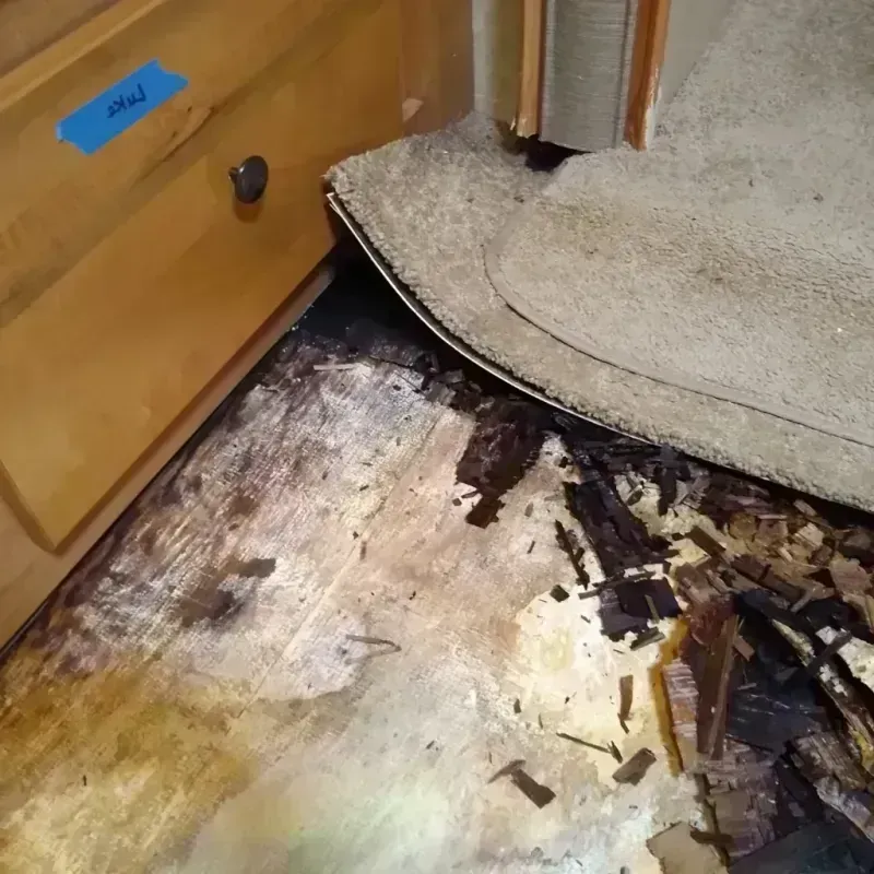 Wood Floor Water Damage in Carmi, IL